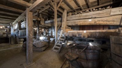 Rebberg und Keller