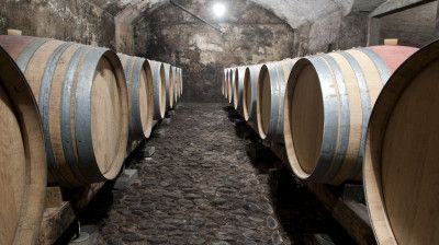 Rebberg und Keller