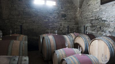 Rebberg und Keller